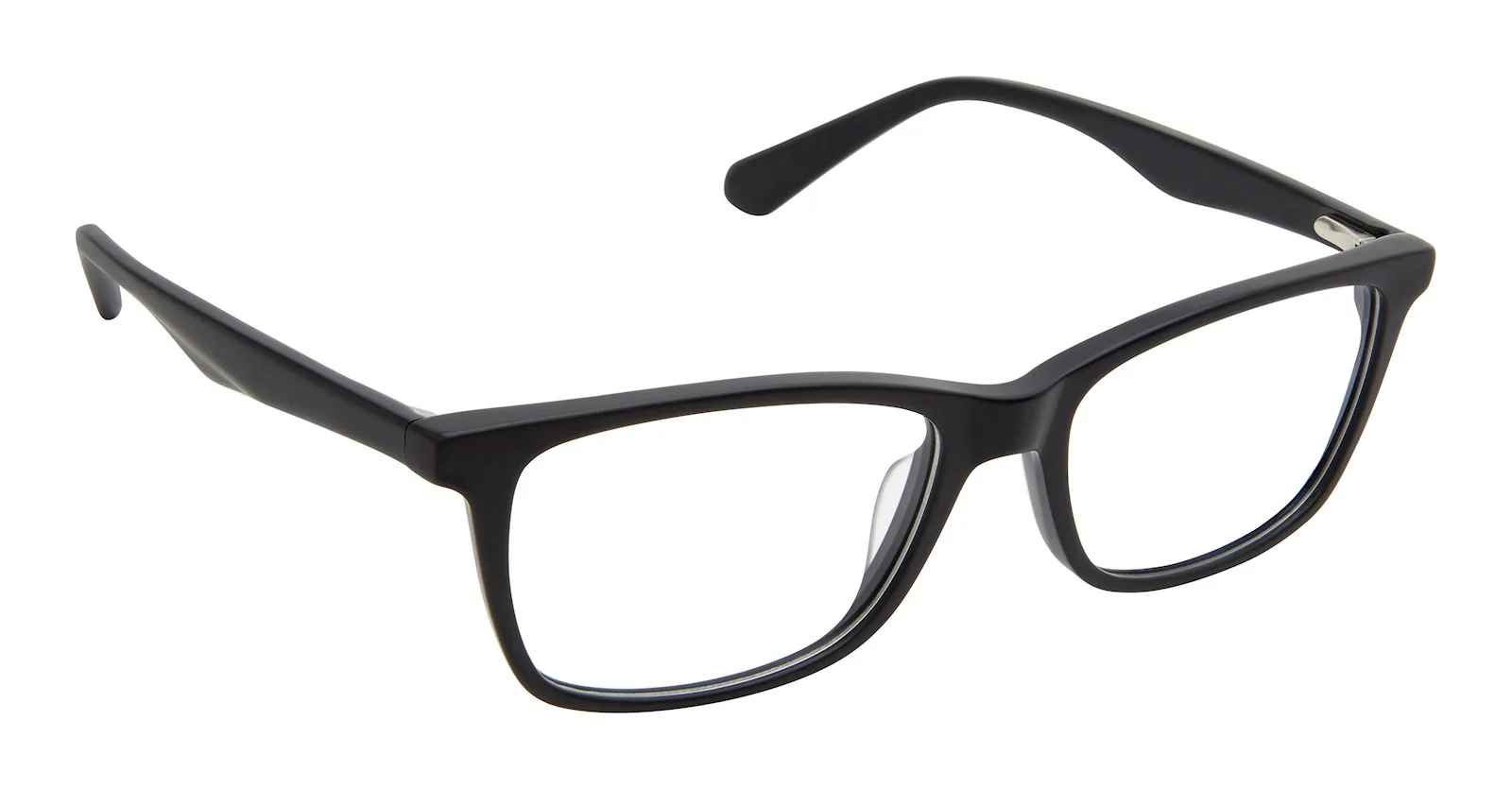 SF-598 - Image 2